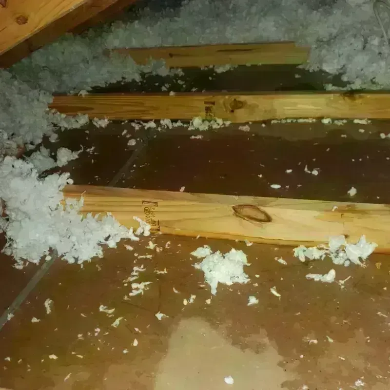 Attic Water Damage in Glacier County, MT