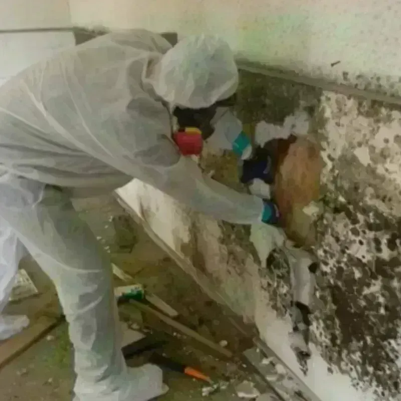 Mold Remediation and Removal in Glacier County, MT