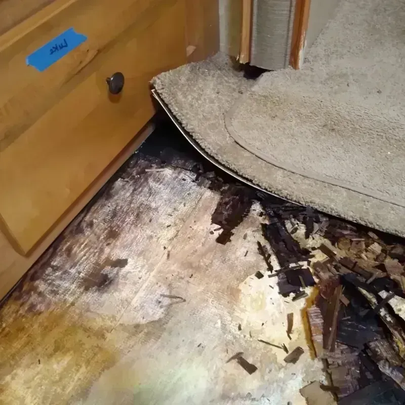 Best Wood Floor Water Damage Service in Glacier County, MT